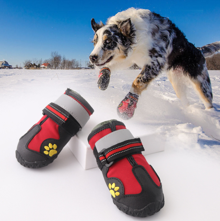 RainyPaws All-Weather Dog Boots (Set of 4)