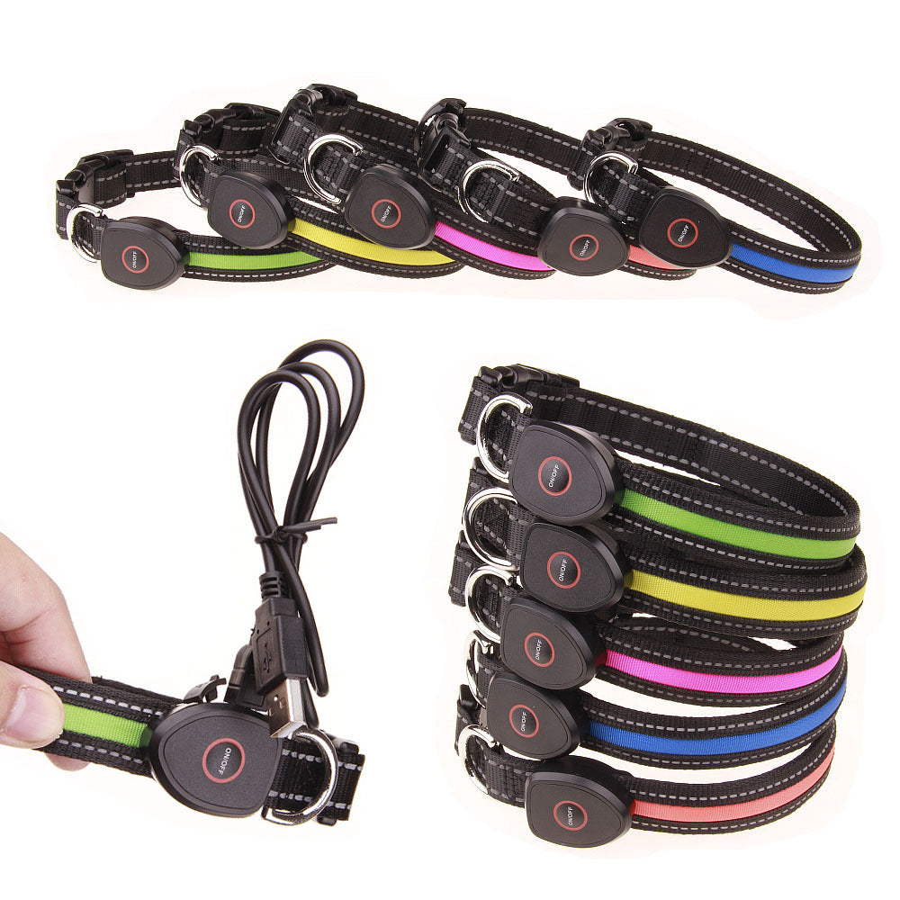 RainyPaws Glow LED Dog Collar (USB Rechargeable)