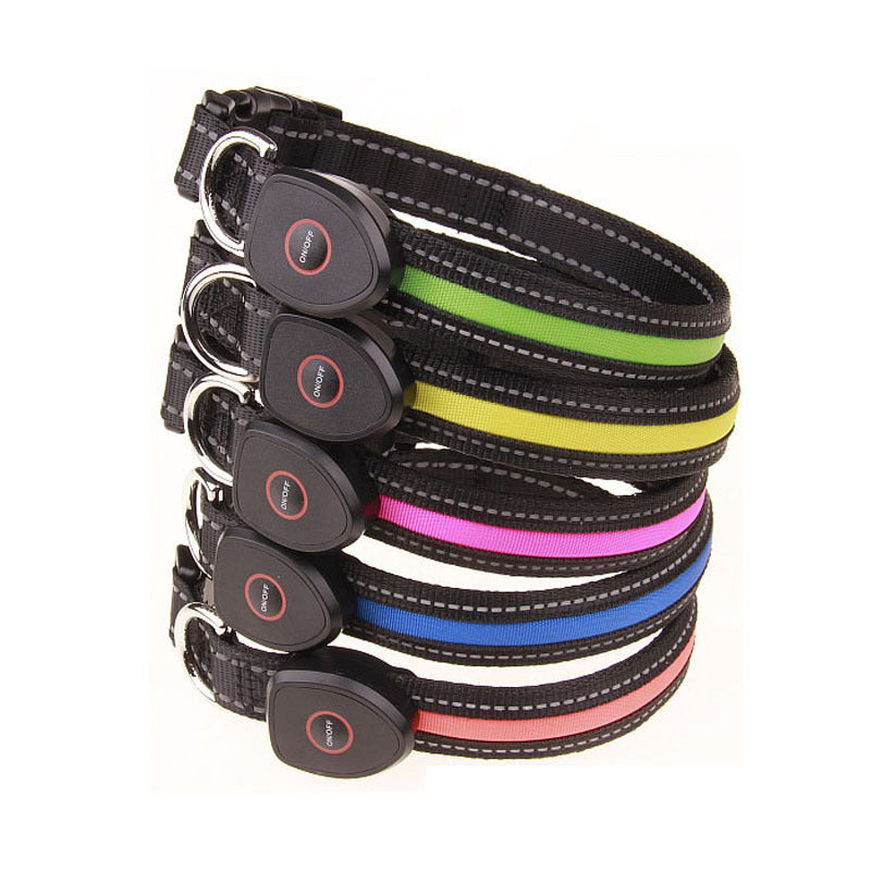 RainyPaws Glow LED Dog Collar (USB Rechargeable)